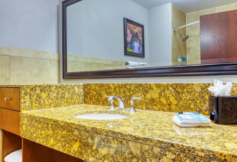 Suite avec Terrasse, Drury Plaza Hotel San Antonio Riverwalk