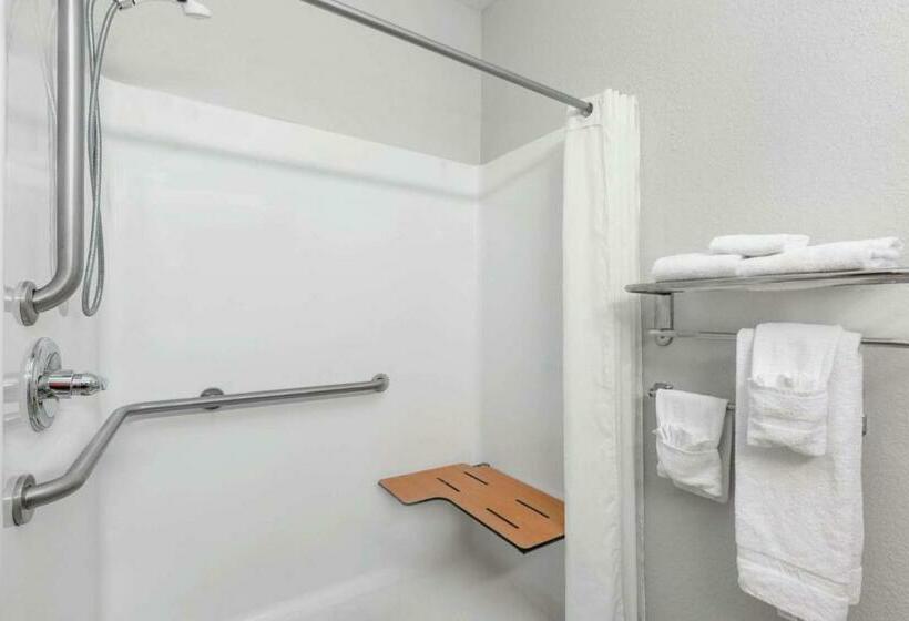 Номер Стандарт Адаптированный для Инвалидов, Microtel Inn & Suites By Wyndham Hoover/birmingham