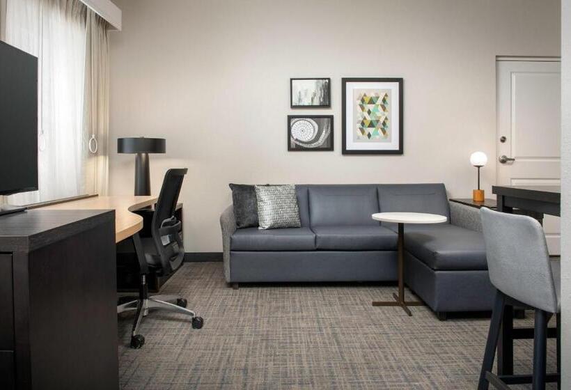 Студио Стандарт Кровать Кинг, Residence Inn Birmingham Hoover