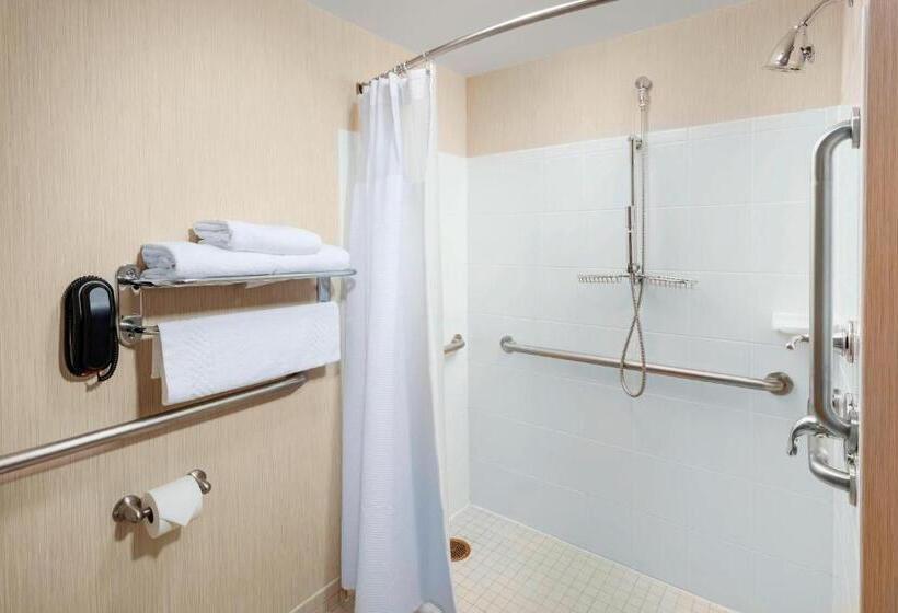Suite, Residence Inn By Marriott Chicago Downtown/river North