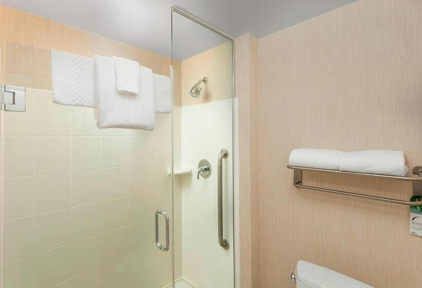 Standard Studio Byudsigt, Residence Inn By Marriott Chicago Downtown/river North