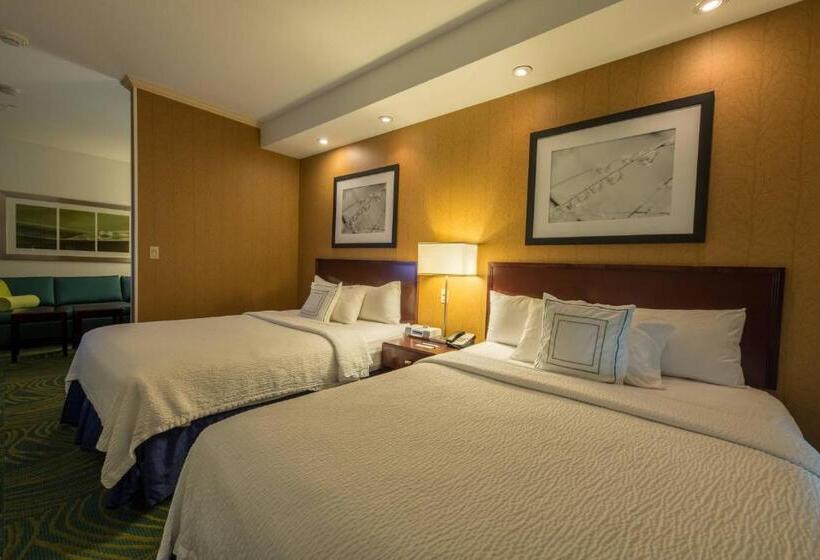 Люкс, Springhill Suites Ridgecrest