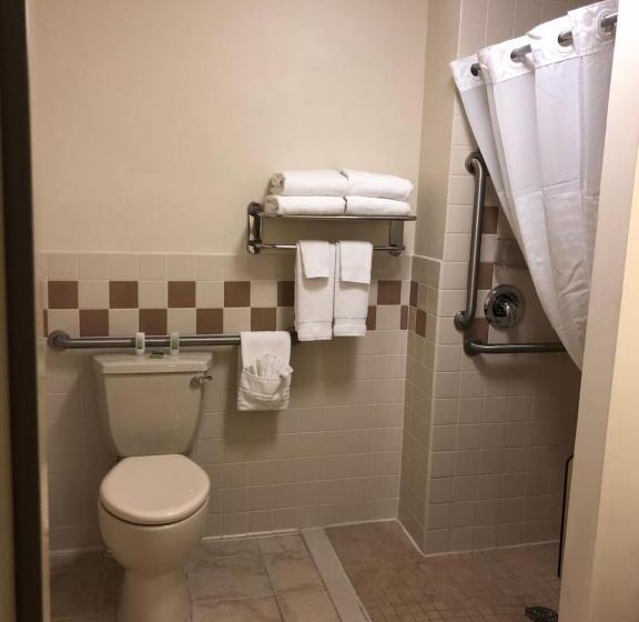 Номер Стандарт Кровать Кинг Адаптированный для Инвалидов, Americinn By Wyndham Princeton Il
