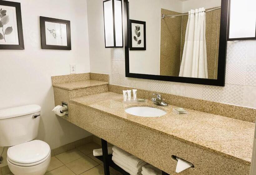 스위트, Country Inn & Suites By Radisson, Albany, Ga