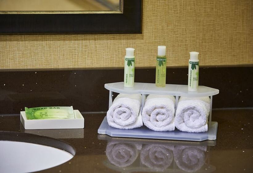 标准间, Holiday Inn Express And Suites Timmins, An Ihg