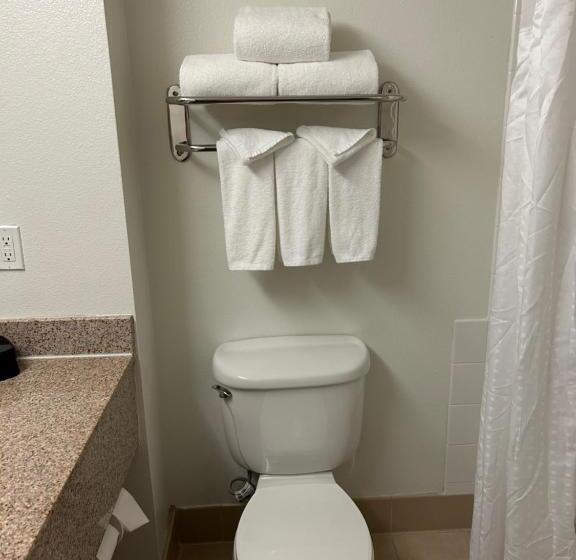 标准间, Holiday Inn & Suites   Barstow, An Ihg