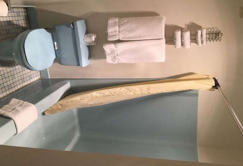 带2个双人床的标准工作室, The Springwater Inn
