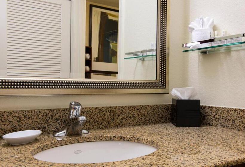 带大床的套房, Residence Inn Gainesville I 75