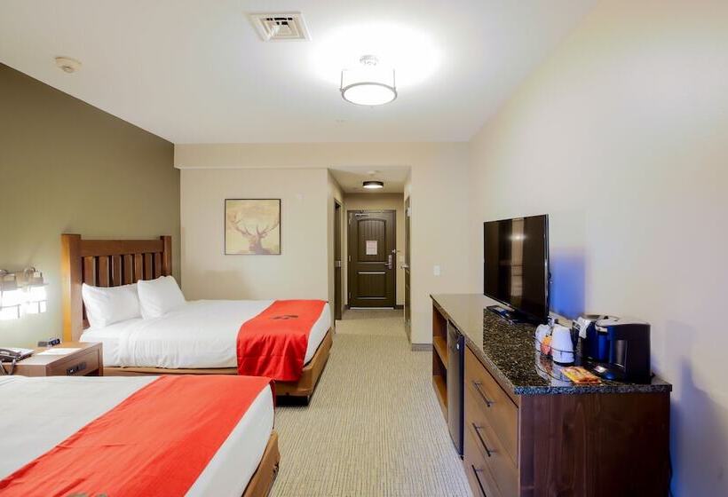 Люкс Повышенной Комфортности, Great Wolf Lodge Chicago/gurnee