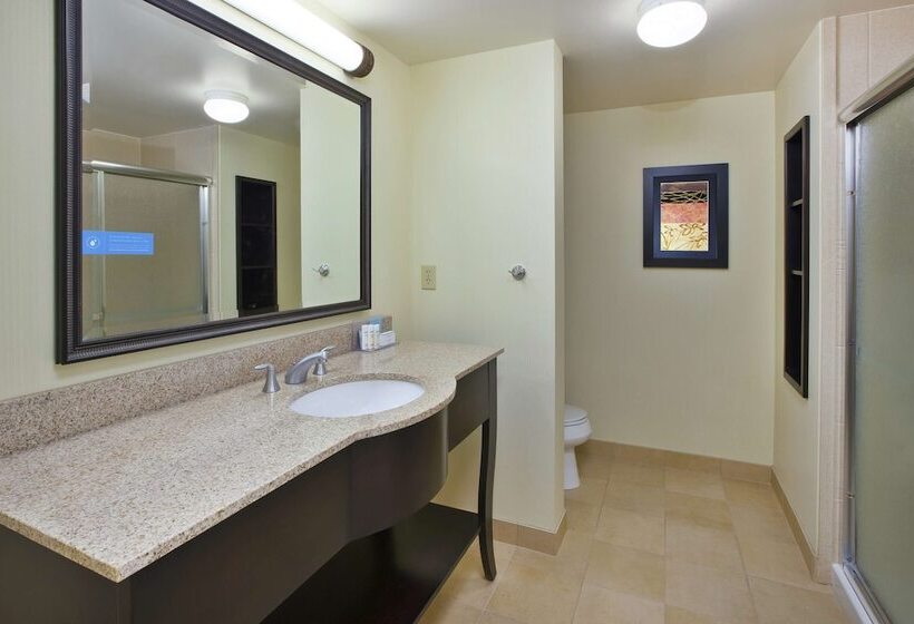 Стандартный Номер Кровать Кинг, Hampton Inn & Suites Plattsburgh