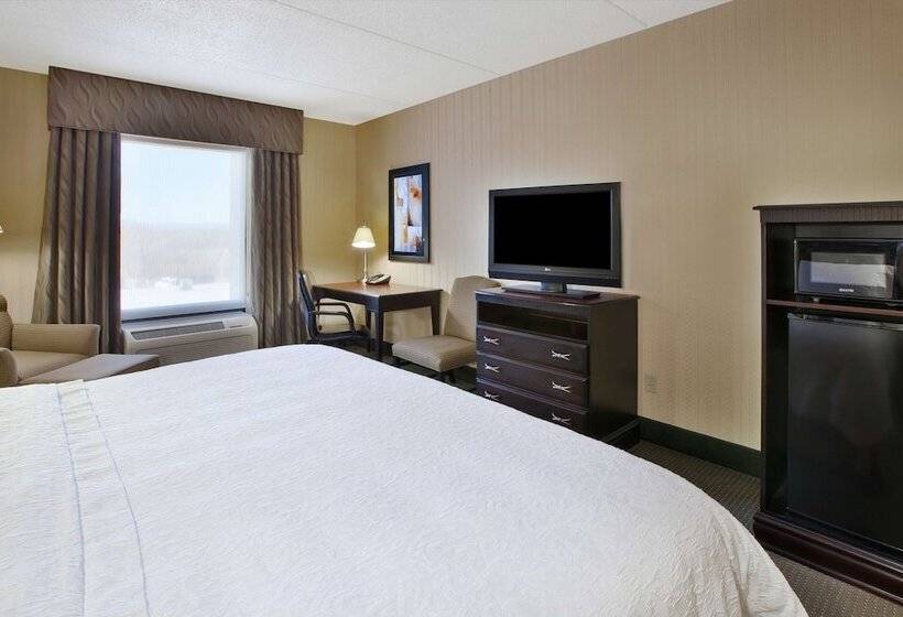 Стандартный Номер Кровать Кинг, Hampton Inn & Suites Plattsburgh