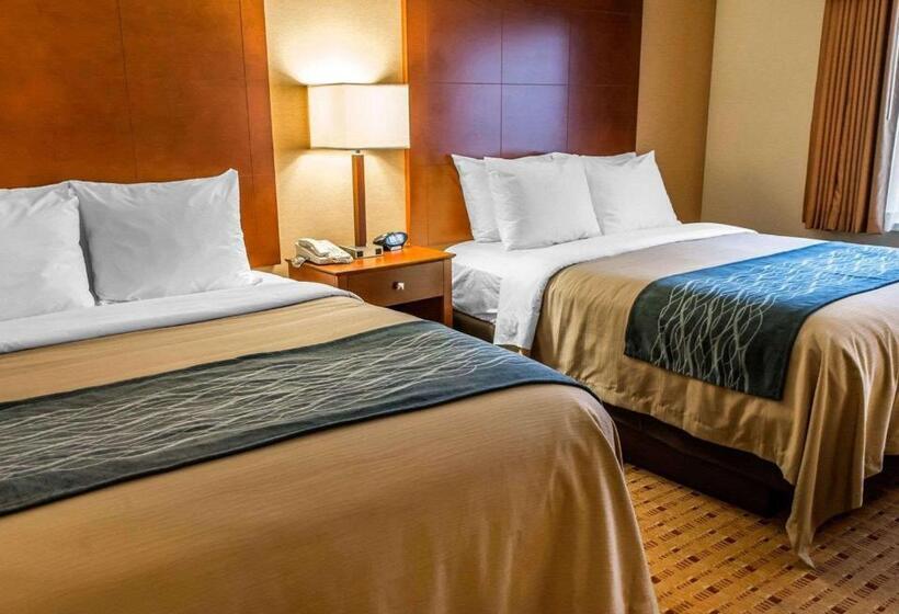 스탠다드 룸, Comfort Inn & Suites Franklin East