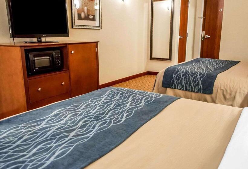 스탠다드 룸, Comfort Inn & Suites Franklin East