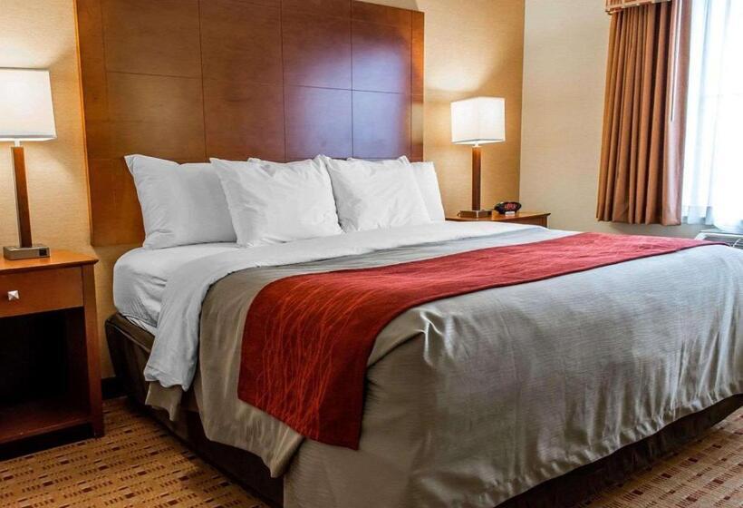 스탠다드 룸 킹사이즈 침대, Comfort Inn & Suites Franklin East