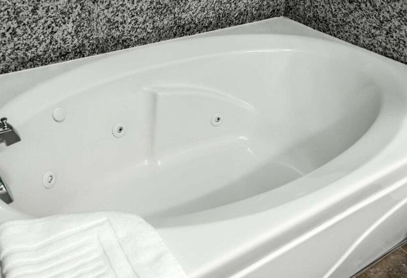 스탠다드 룸 킹사이즈 침대, Comfort Inn & Suites Franklin East