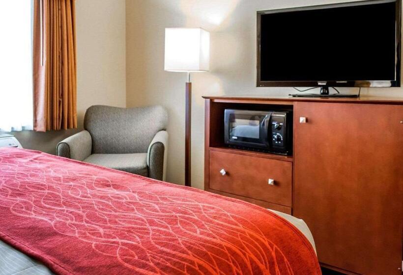 스위트 킹사이즈 침대, Comfort Inn & Suites Franklin East