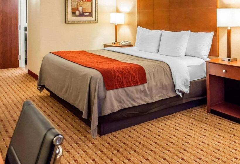 스위트 킹사이즈 침대, Comfort Inn & Suites Franklin East