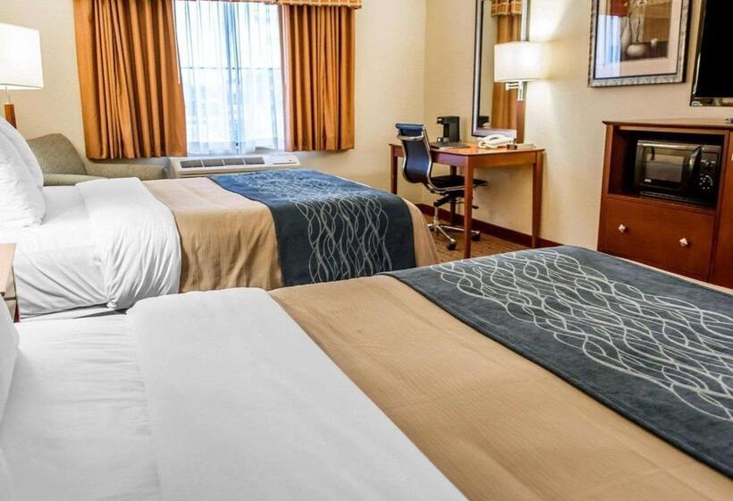 장애인을 위한 스탠다드 룸, Comfort Inn & Suites Franklin East