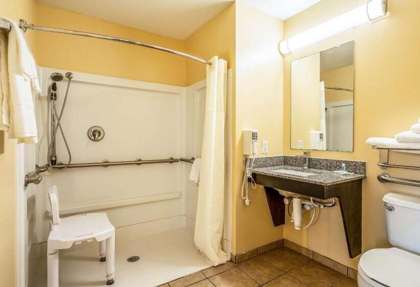 Студия Стандарт, Suburban Studios Near Camp Lejeune