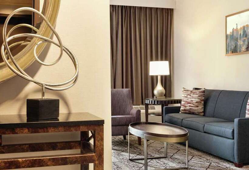 Студио Стандарт Кровать Кинг, Home2 Suites By Hilton Jacksonville, Nc
