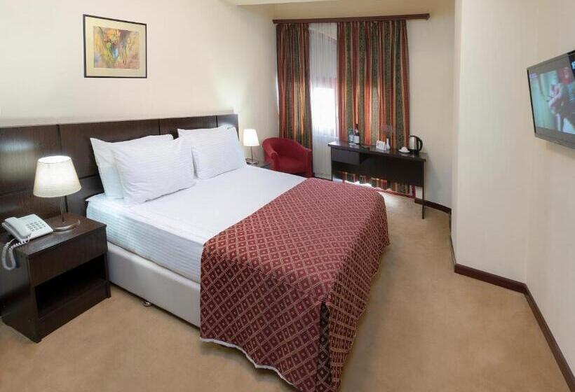 اتاق استاندارد یک نفره, Ani Central Inn