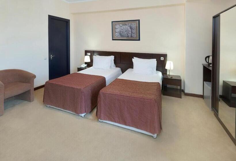 اتاق استاندارد, Ani Central Inn