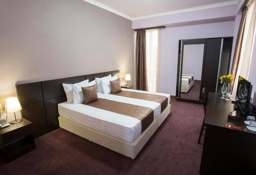 اتاق لوکس یک تخته, Ani Central Inn