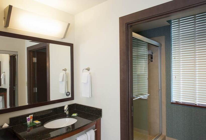 Люкс Адаптированный для Инвалидов, Hyatt Place Des Moines/downtown