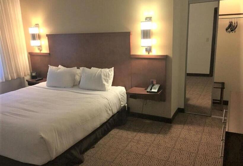 Люкс Кровать Кинг, Hyatt Place Des Moines/downtown