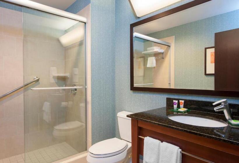 Номер Стандарт Кровать Квин Адаптированный для Инвалидов, Hyatt Place Des Moines/downtown