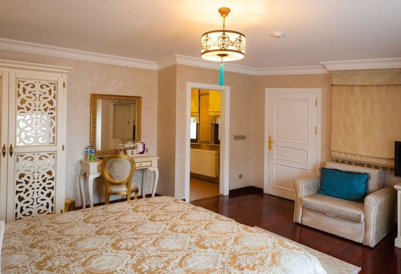 高级大房间, İstanbul Bosphorus Hotel Symbola