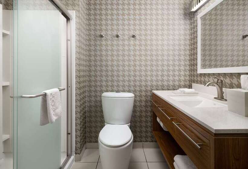 스탠다드 스튜디오, Home2 Suites By Hilton Nashville Vanderbilt, Tn