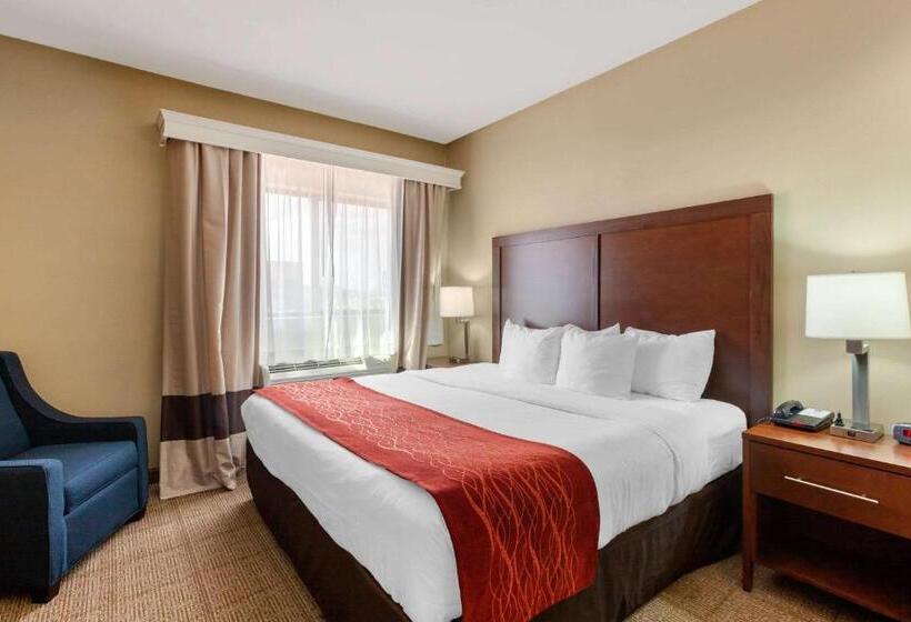 Стандартный Номер Кровать Кинг, Comfort Inn & Suites Page At Lake Powell