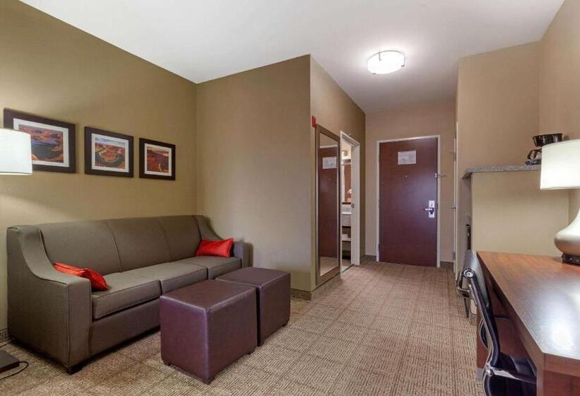 Люкс Кровать Кинг, Comfort Inn & Suites Page At Lake Powell