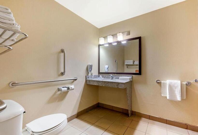 Номер Стандарт Адаптированный для Инвалидов, Comfort Inn & Suites Page At Lake Powell