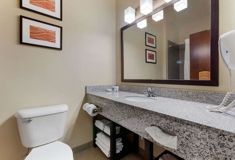 Номер Стандарт 2 Двуспальные Кровати, Comfort Inn & Suites Page At Lake Powell
