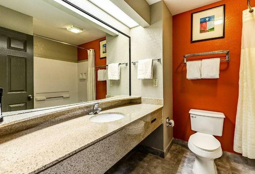 带大床的标准间, Americas Best Value Inn   Temple