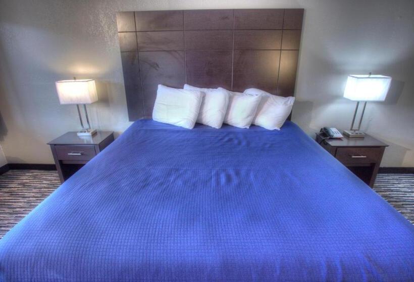 Стандартный Номер Кровать Кинг, Budgetel Inn And Suites Plus Helen