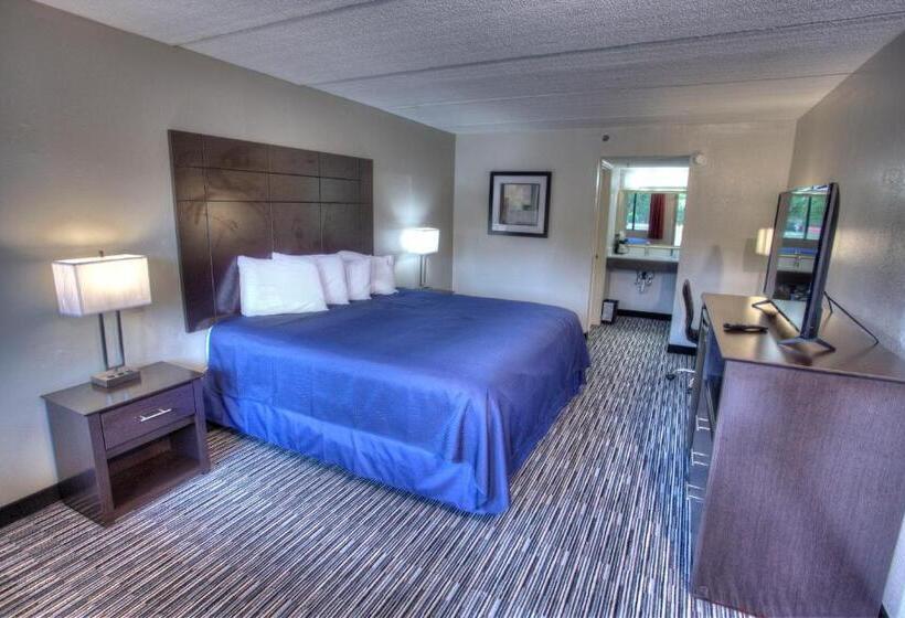 חדר סטנדרט יחיד מותאם לאדם עם מוגבלויות, Budgetel Inn And Suites Plus Helen
