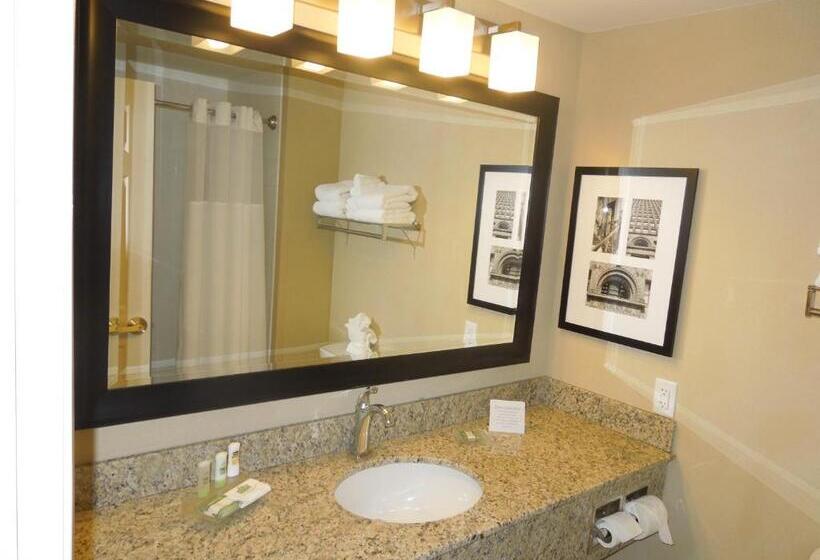 Стандартный Номер Кровать Кинг, Country Inn & Suites By Radisson, Buffalo South I90, Ny