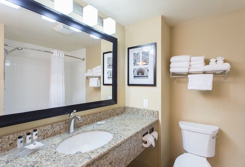Люкс, Country Inn & Suites By Radisson, Buffalo South I90, Ny
