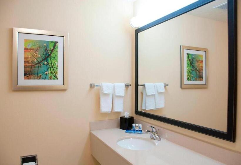 Номер Стандарт, Fairfield Inn & Suites Ames