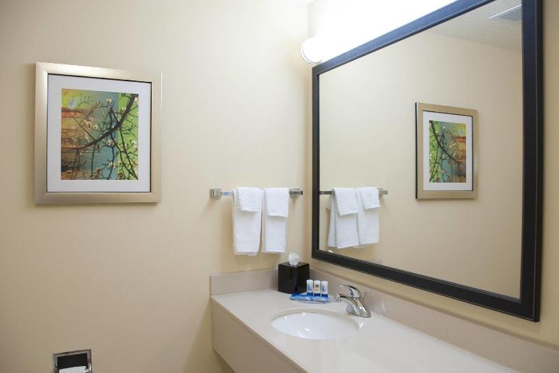 Стандартный Номер Кровать Кинг, Fairfield Inn & Suites Ames