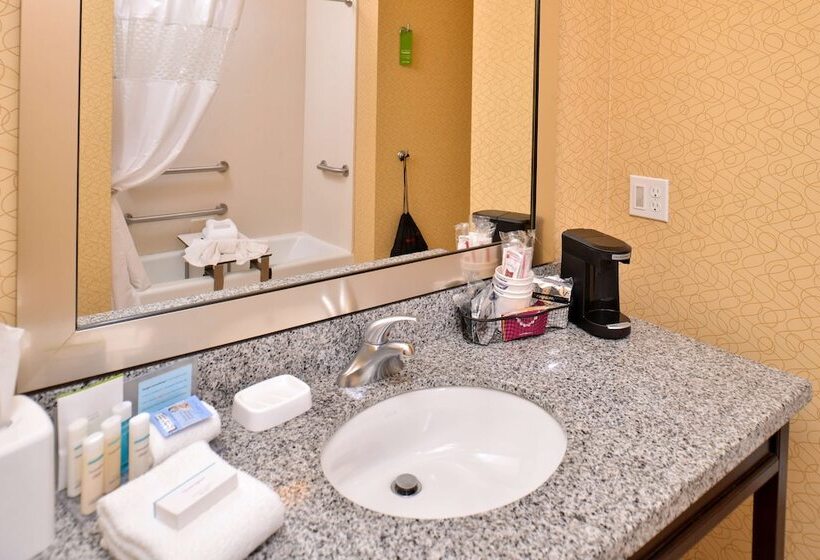 스탠다드 룸 킹사이즈 침대, Hampton Inn Iowa City/university Area