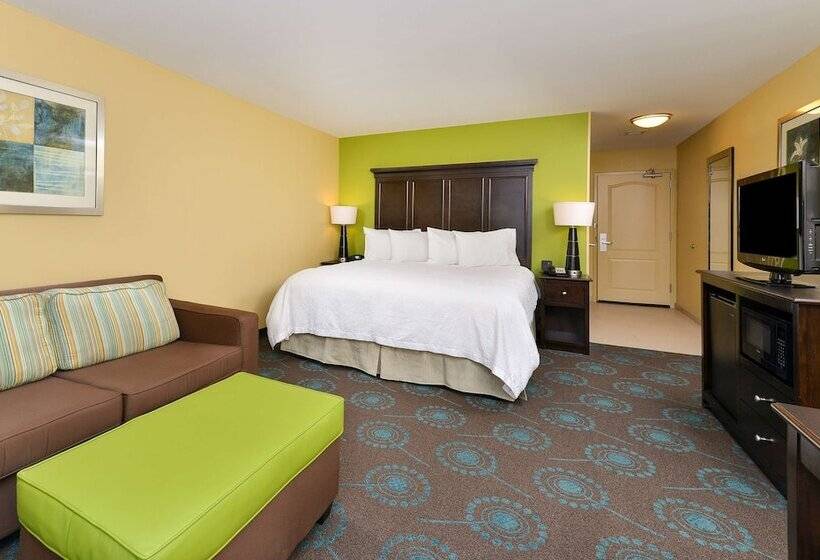 스탠다드 룸 킹사이즈 침대, Hampton Inn Iowa City/university Area