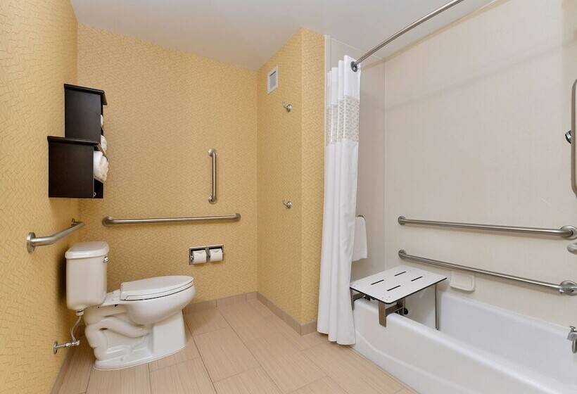 장애인을 위한 킹사이즈 침대 스탠다드 룸, Hampton Inn Iowa City/university Area