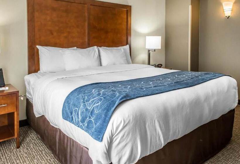 Люкс, Comfort Suites Near Potomac Mills