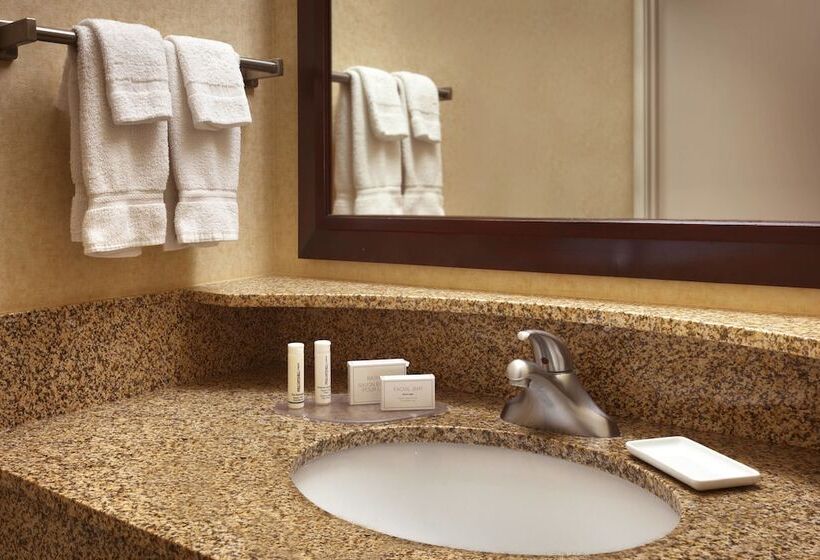 Люкс, Springhill Suites By Marriott Salt Lake City Downtown