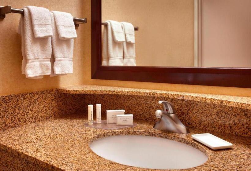 Люкс Кровать Кинг, Springhill Suites By Marriott Salt Lake City Downtown