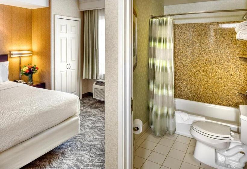 Люкс Кровать Кинг, Springhill Suites By Marriott Salt Lake City Downtown